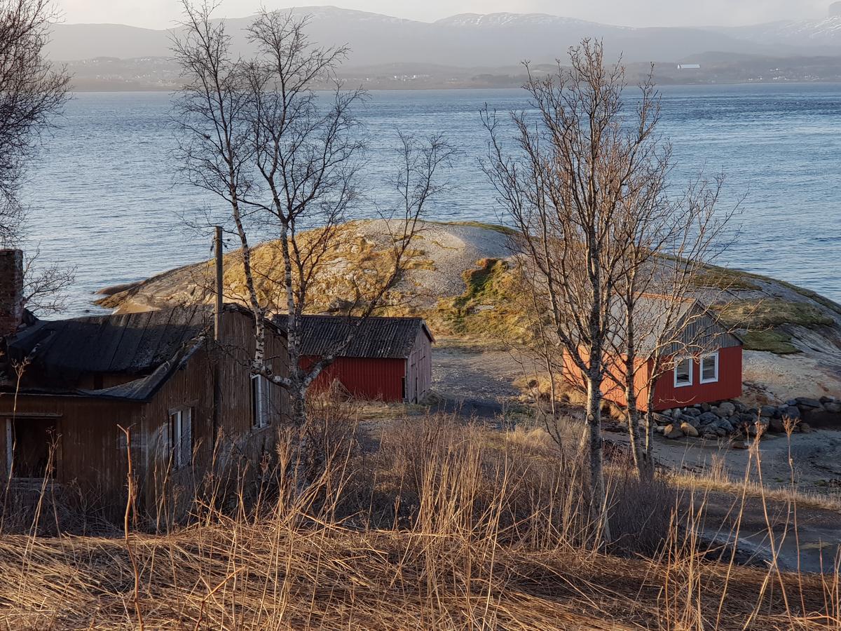 Camp Saltstraumen-Elvegard Hotel Bodø Екстериор снимка